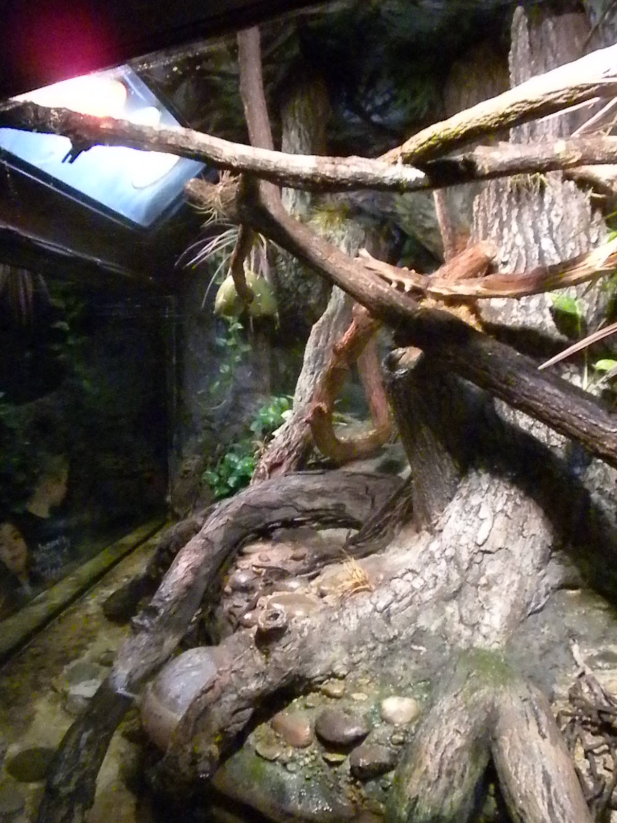 Reptile Building and Aquarium