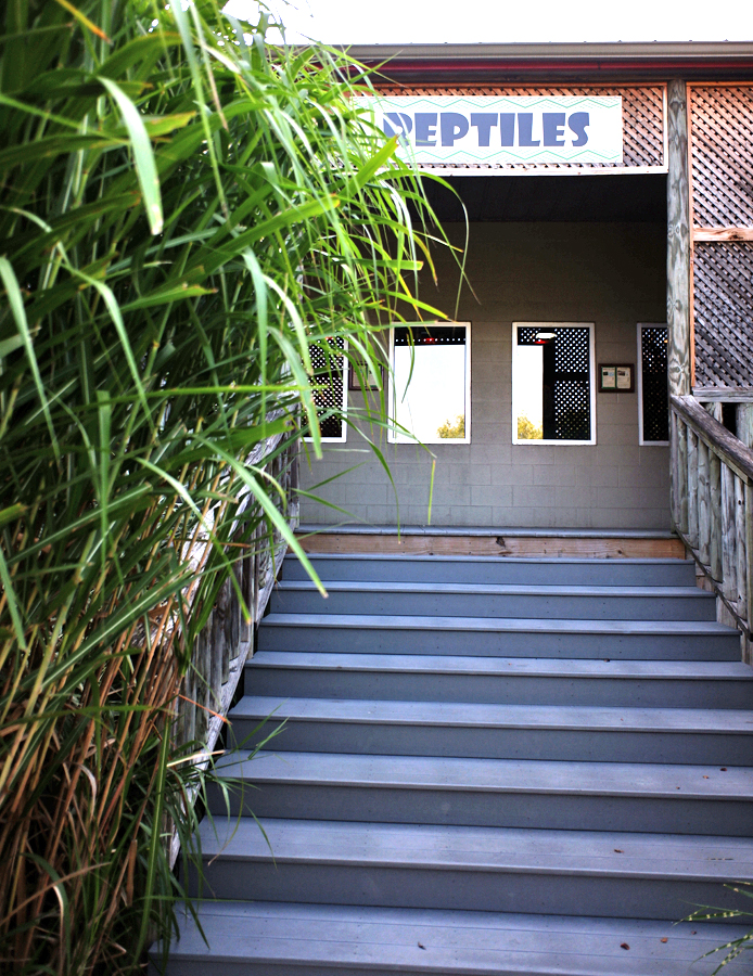 reptile building in safari village