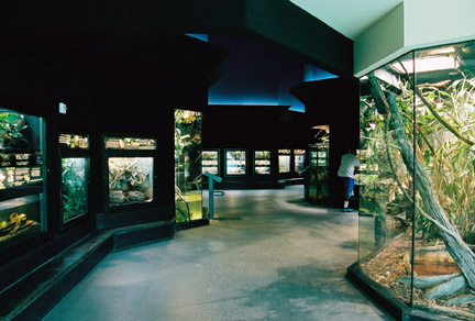 reptile building