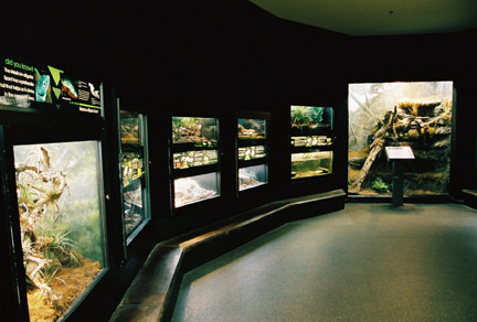 reptile building