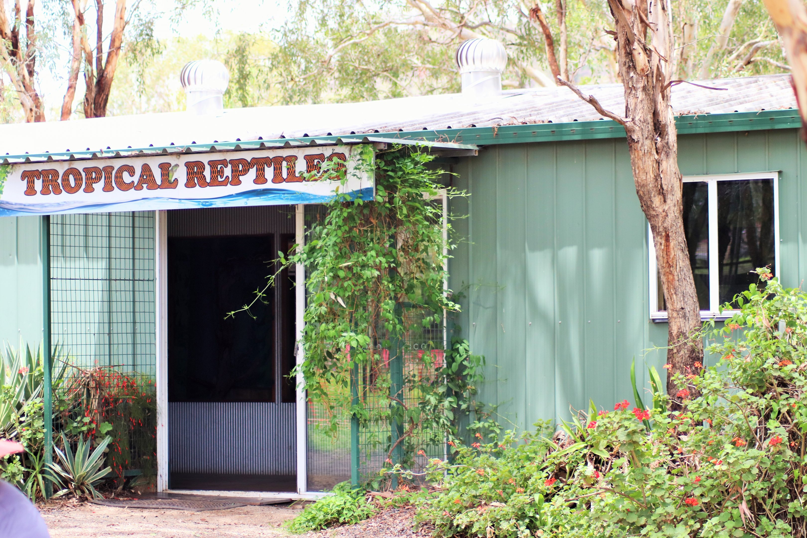 Reptile Building