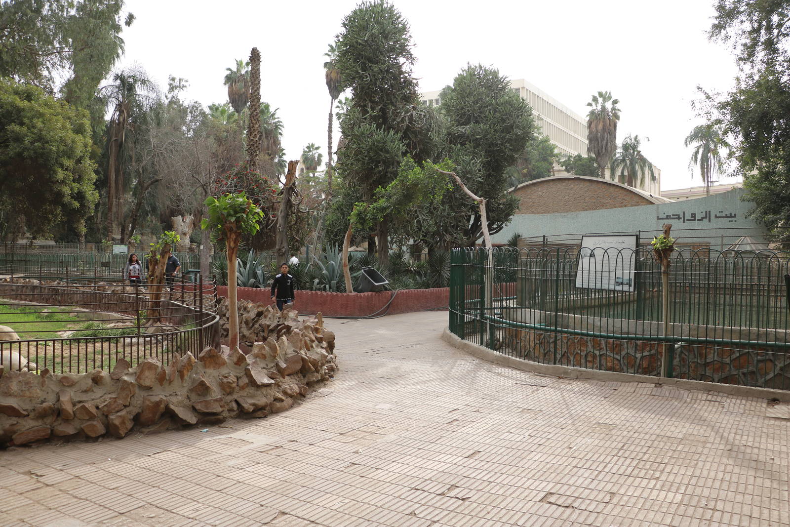 Reptile complex, February 2016