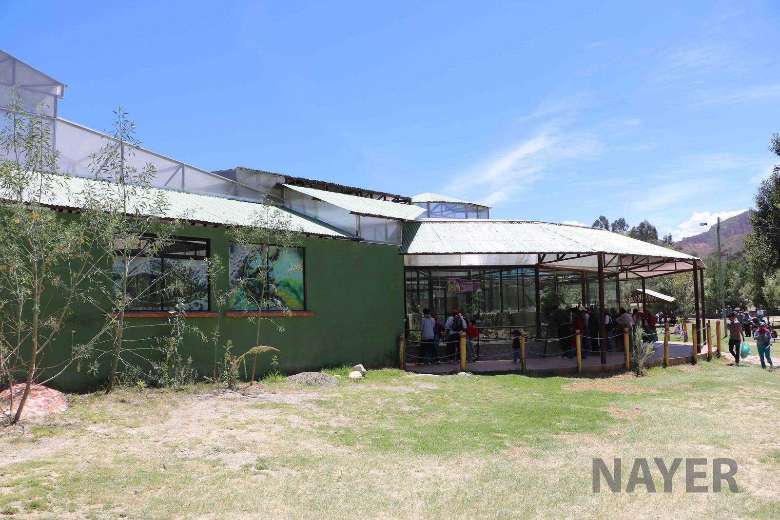 Reptile complex, March 2016