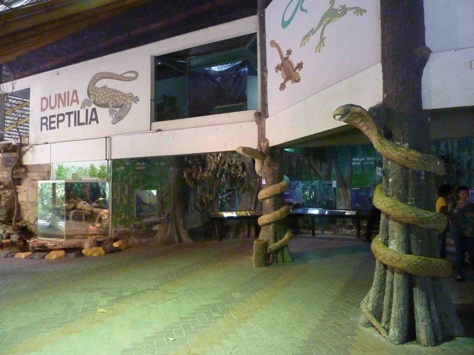 Reptile complex, May 2013.