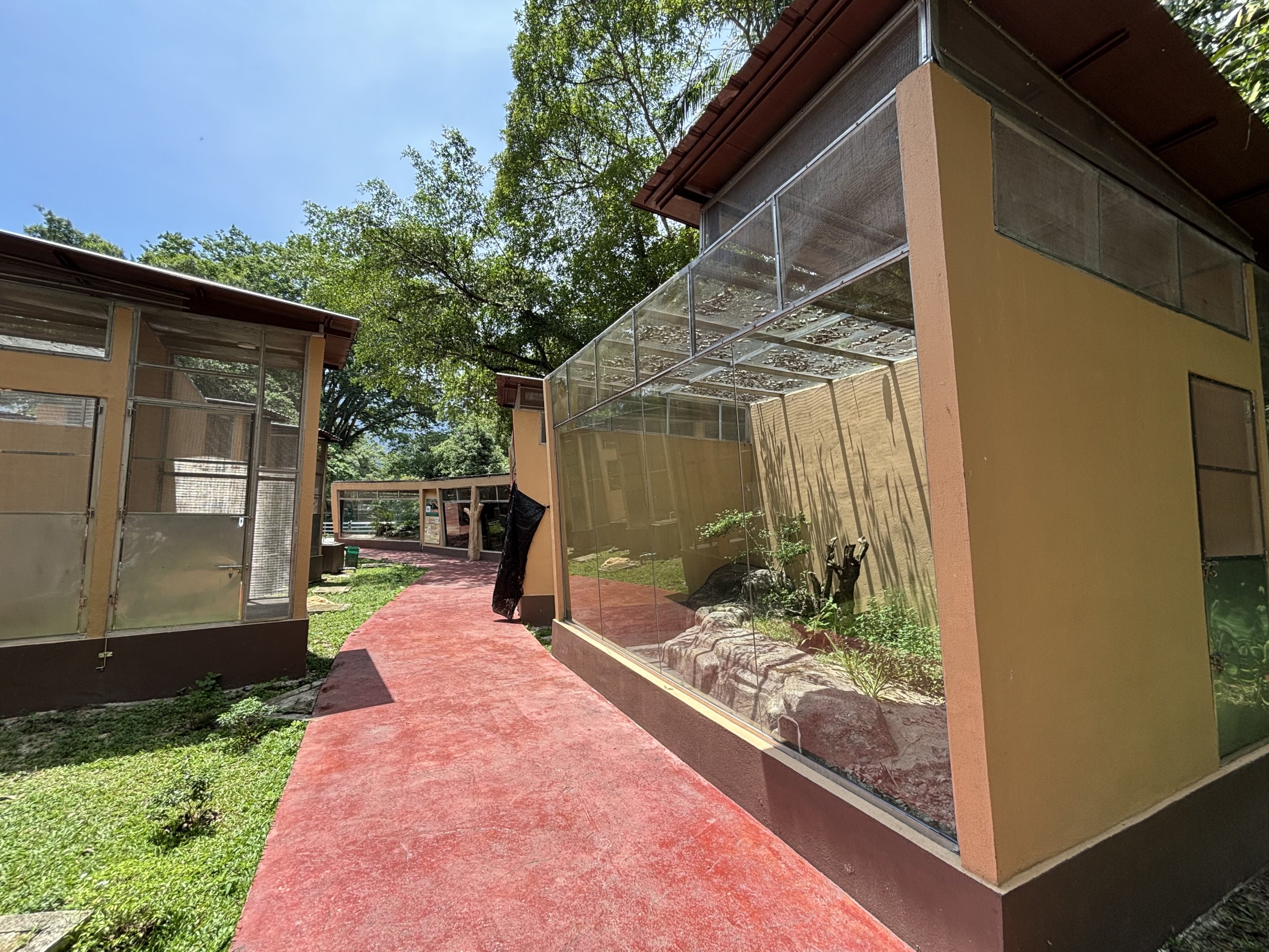 Reptile Complex - New in 2024