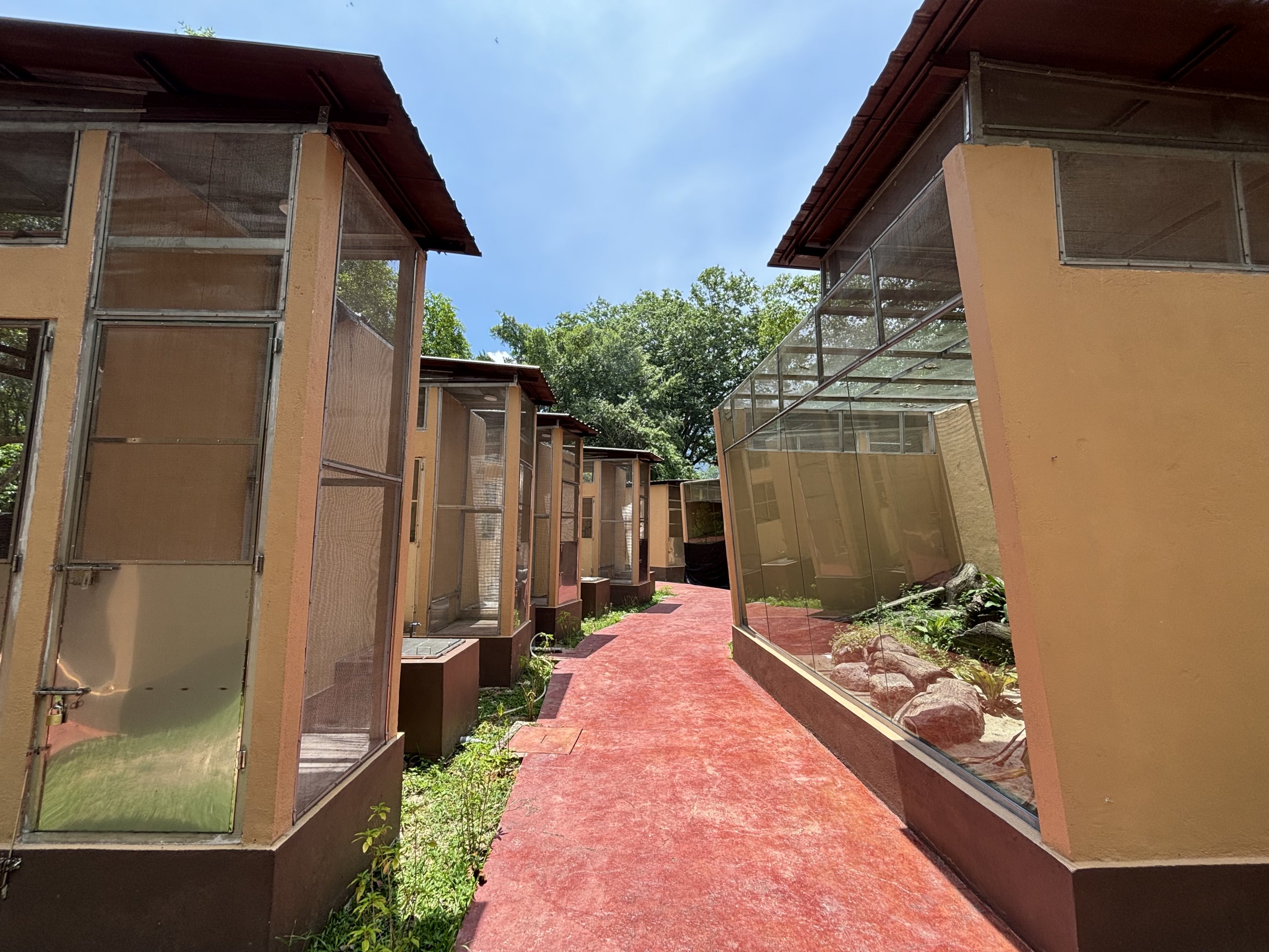 Reptile Complex - New in 2024