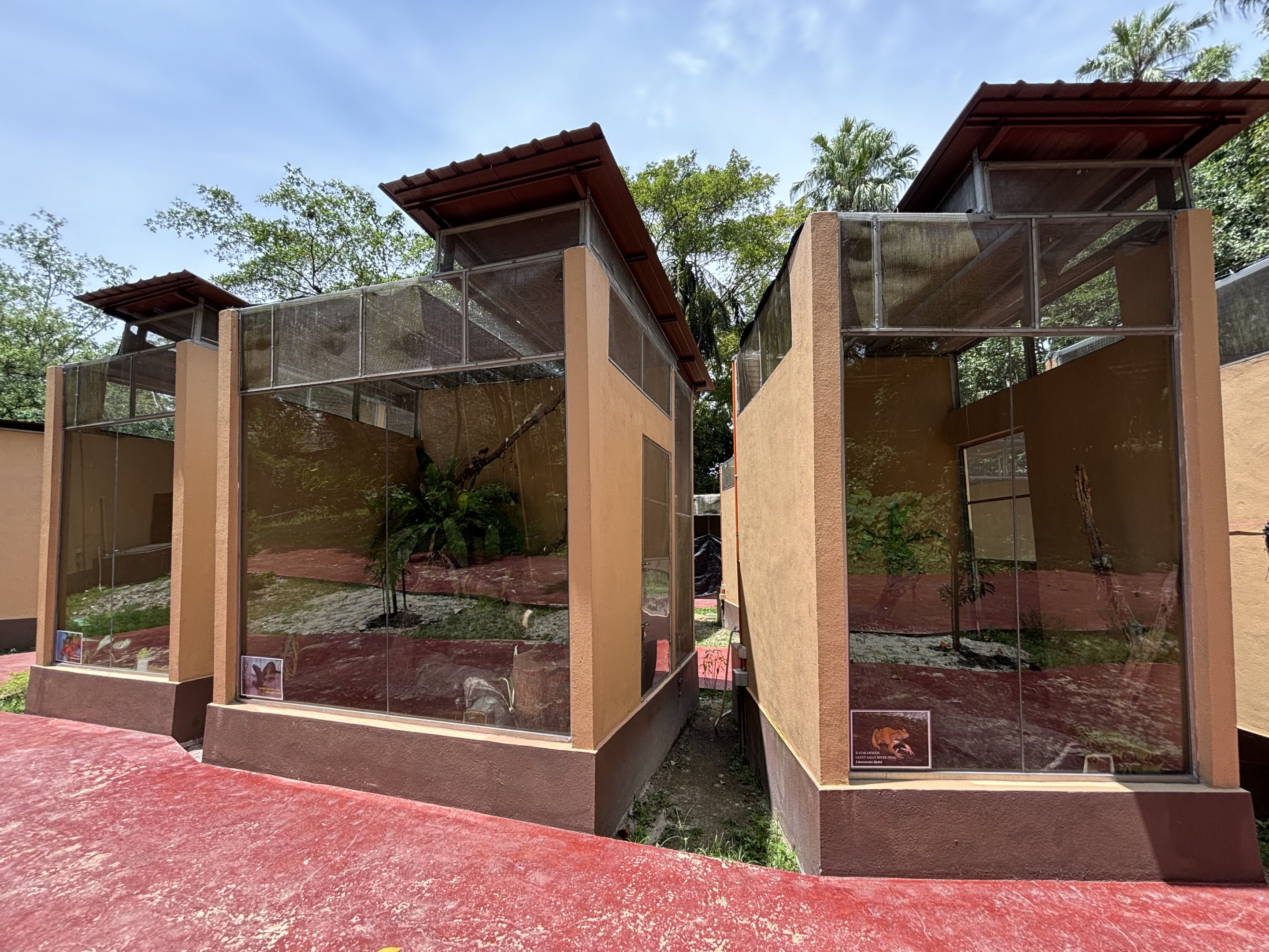 Reptile Complex - New in 2024