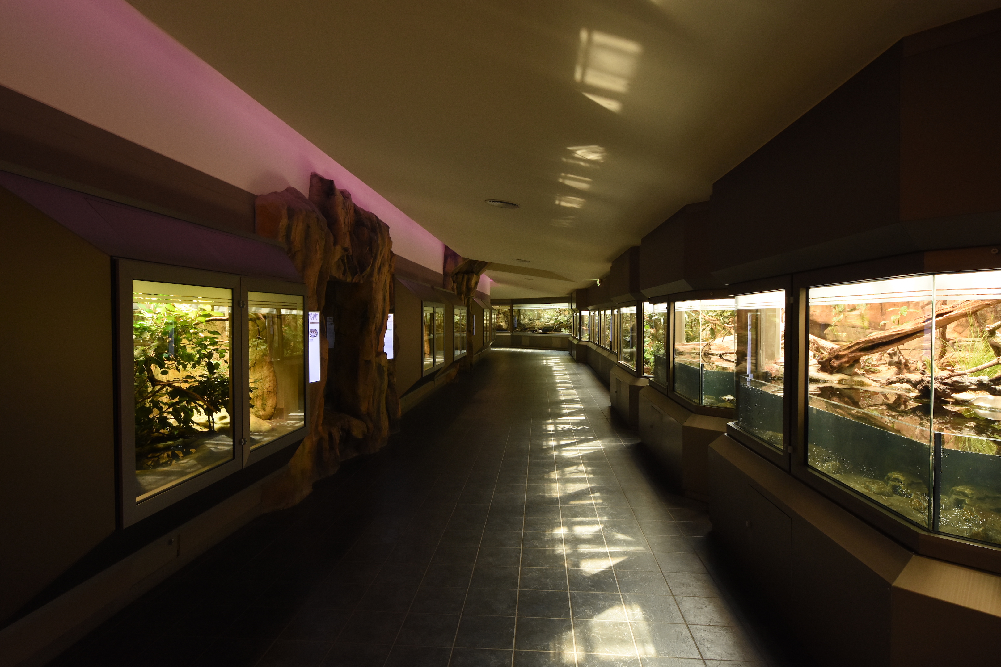 Reptile corridor