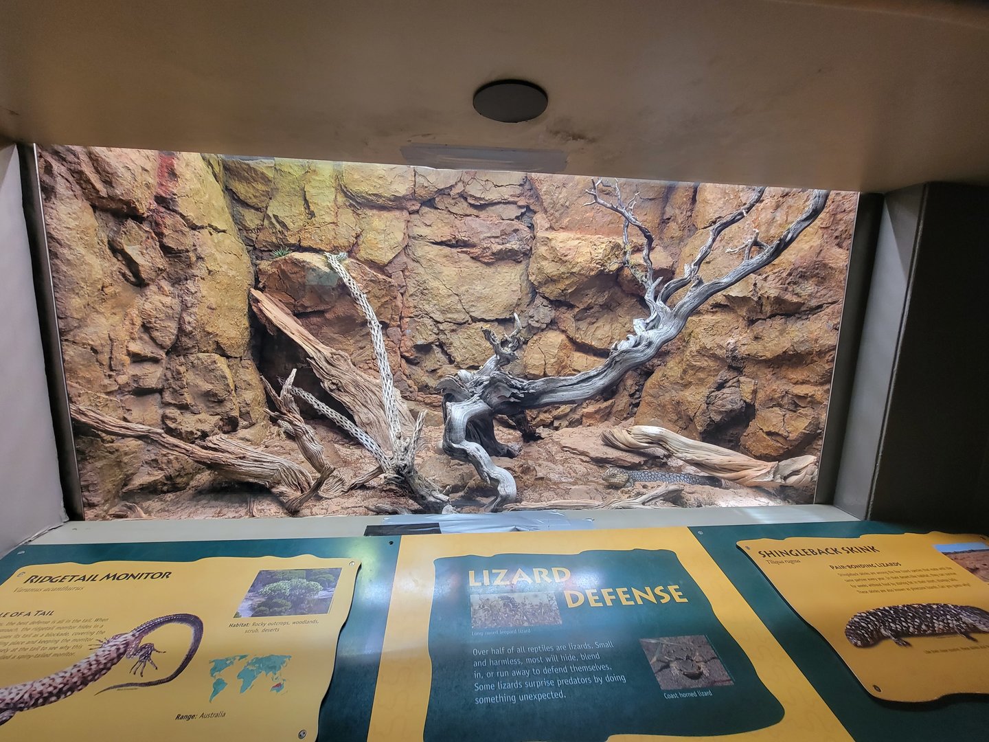 Reptile Discovery Center - New Exhibit