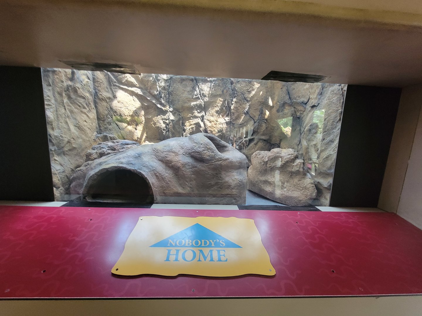 Reptile Discovery Center - New Exhibit