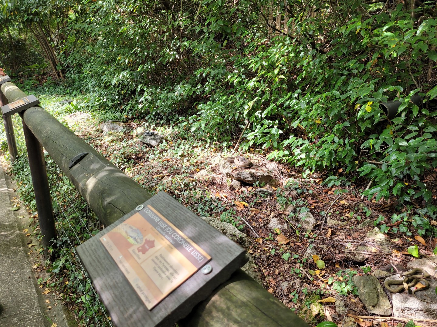Reptile display -Parc Animalier des Pyrénées (2023)