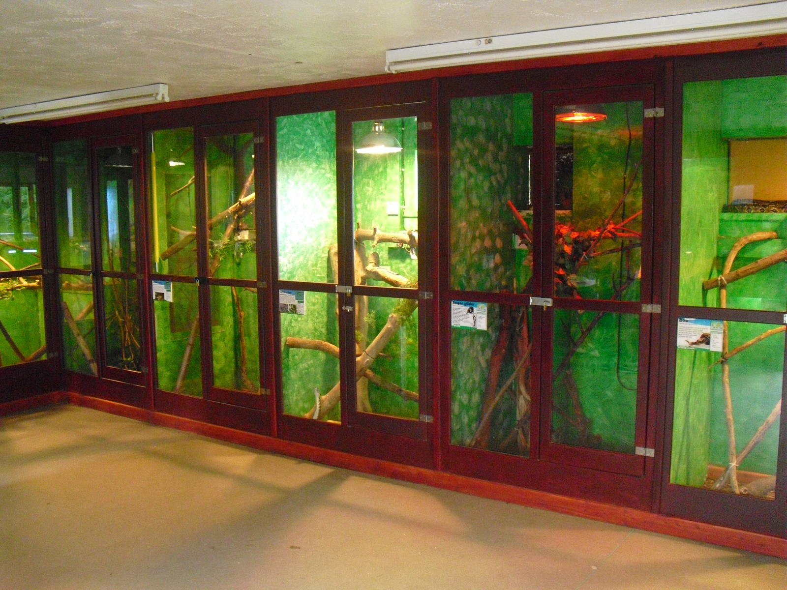 Reptile Displays - 16/10/2011