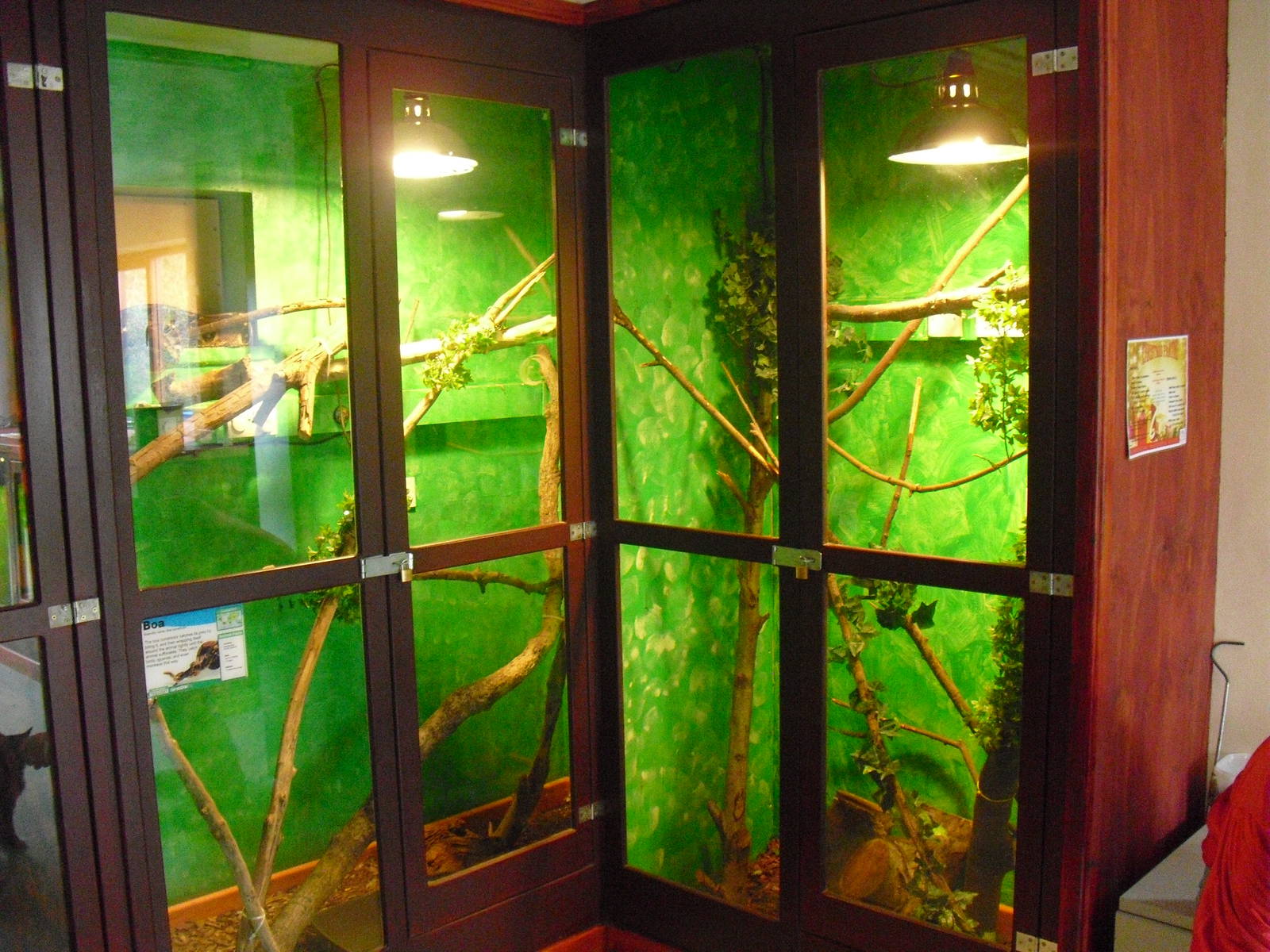 Reptile Displays - 16/10/2011