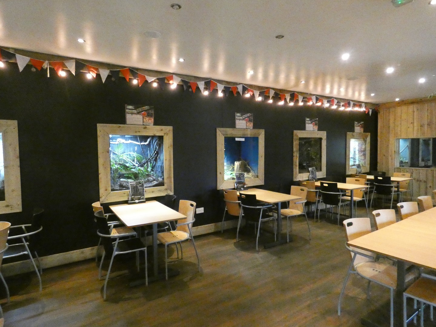 Reptile displays in restaurant