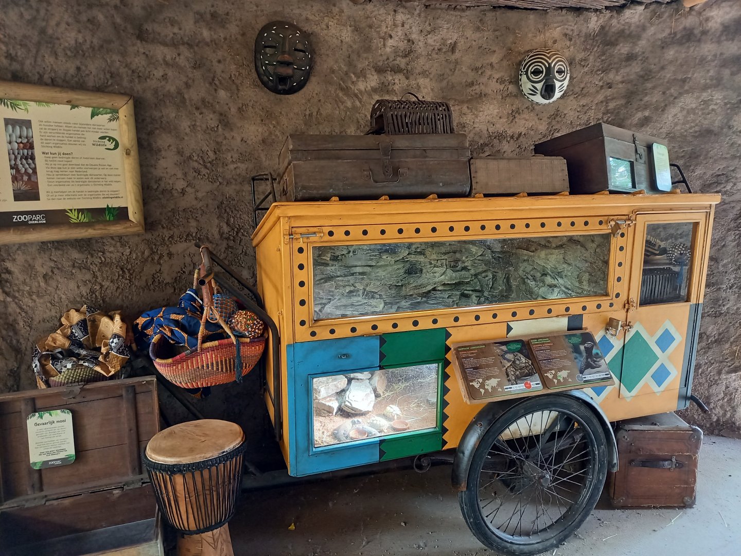 Reptile-enclosure in the Giraffe-house
