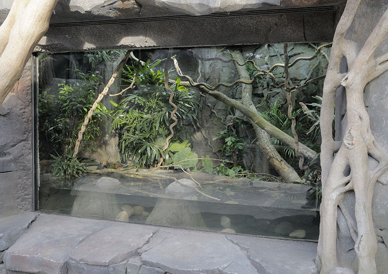 Reptile enclosure in the Monsoon Forest