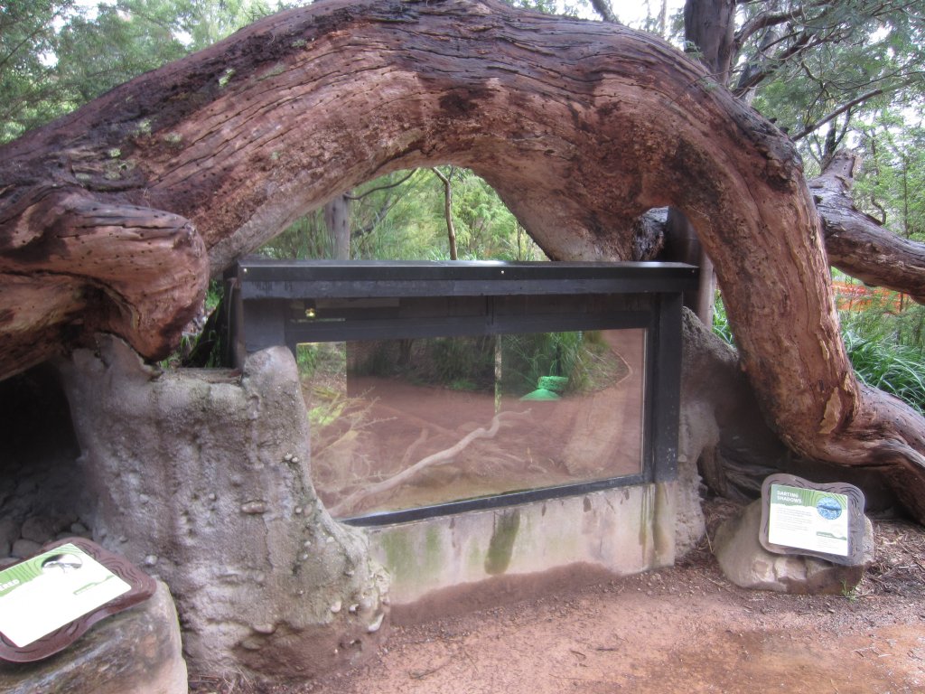 Reptile enclosure
