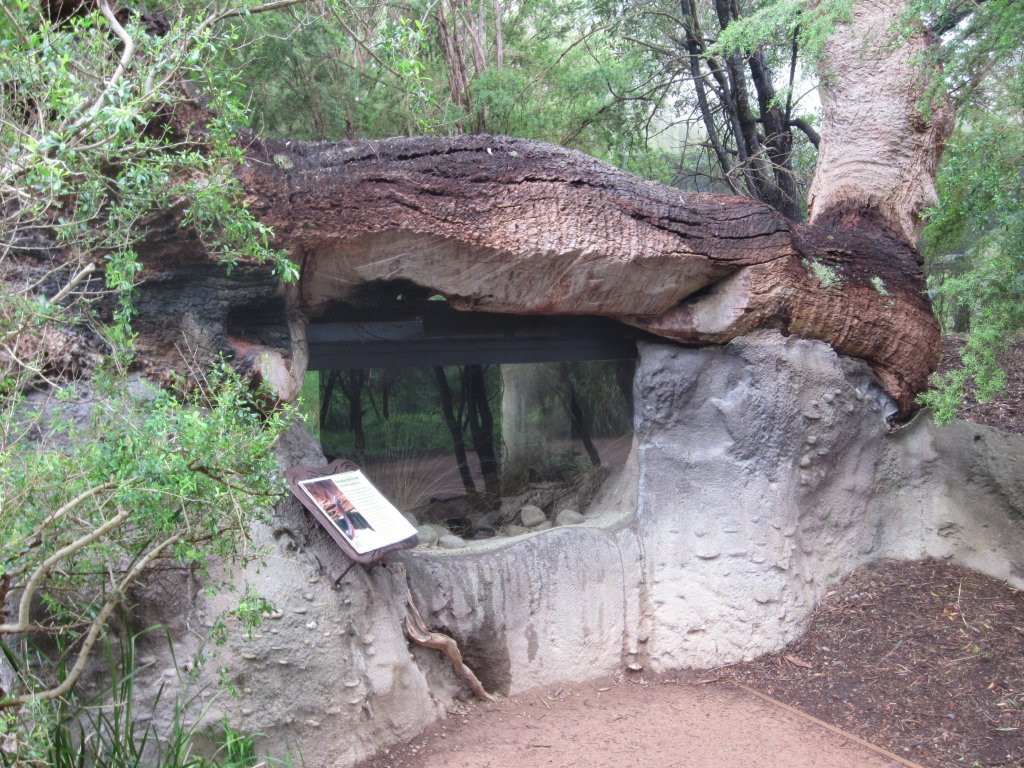 Reptile enclosure