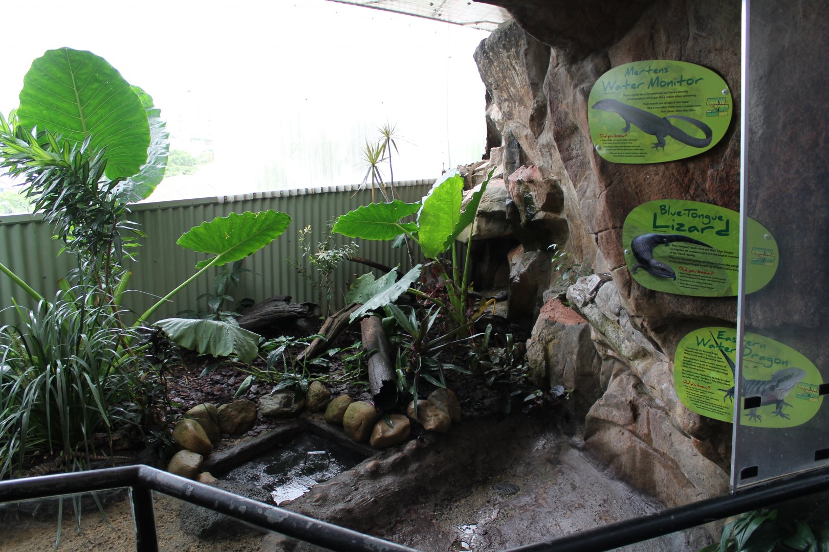 Reptile enclosure