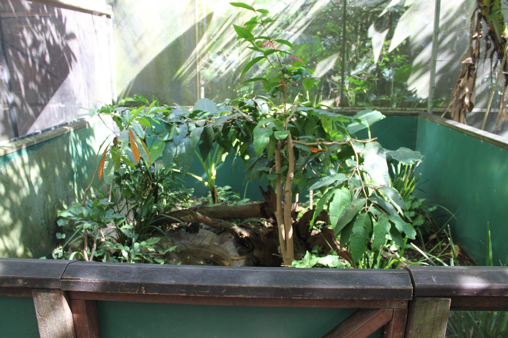 Reptile enclosure