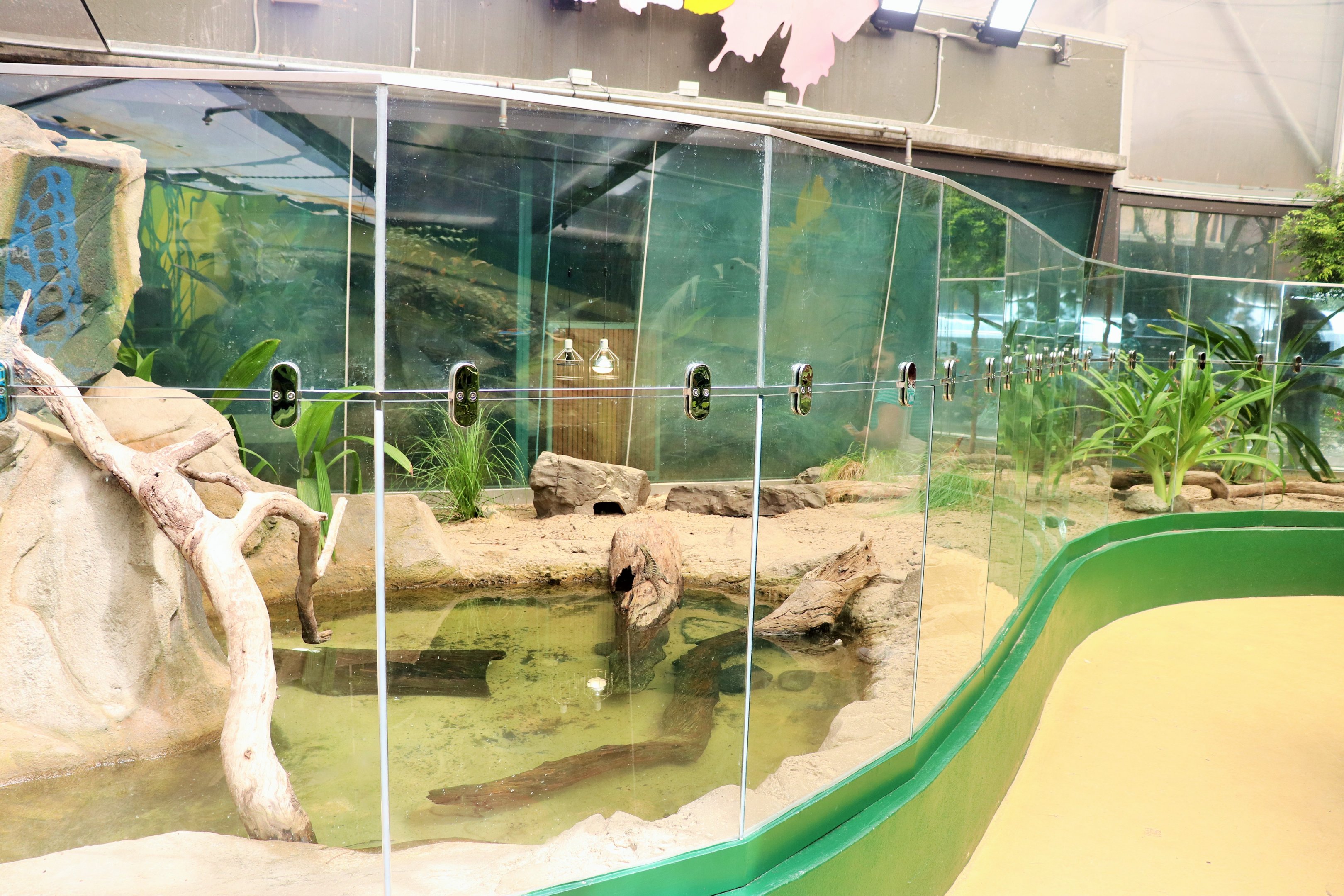 Reptile Enclosure