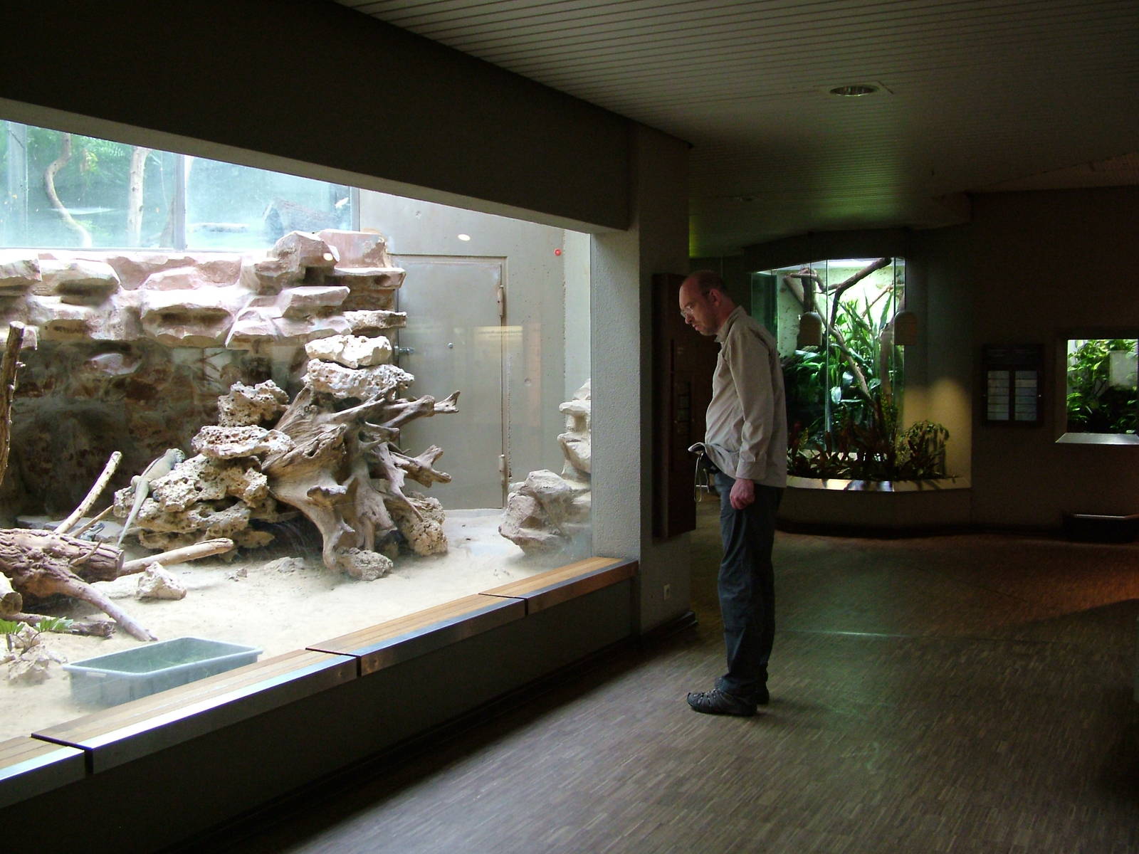 Reptile enclosures at Aquazoo 14/05/09