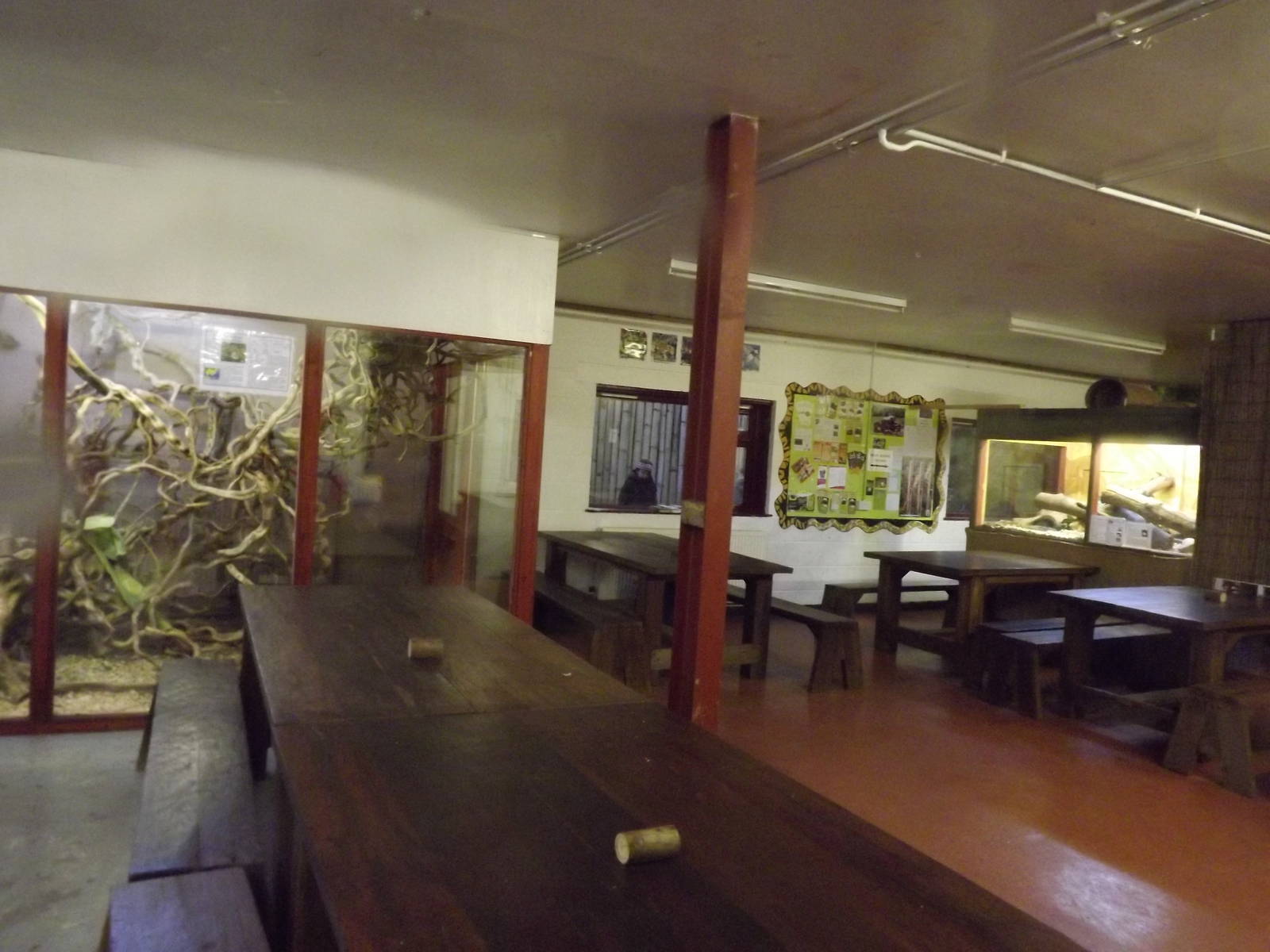 Reptile enclosures at South Lakes WAP 26/11/11