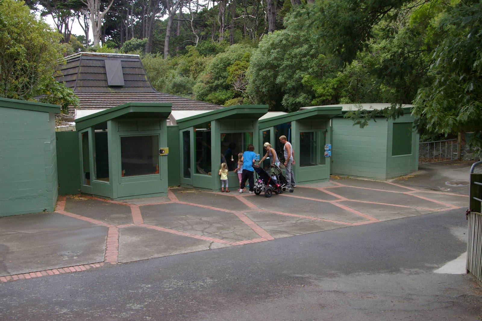 reptile enclosures at Wellington Zoo