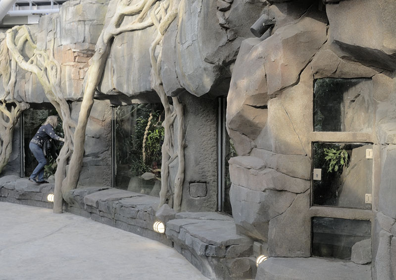 Reptile enclosures in the Monsoon Forest