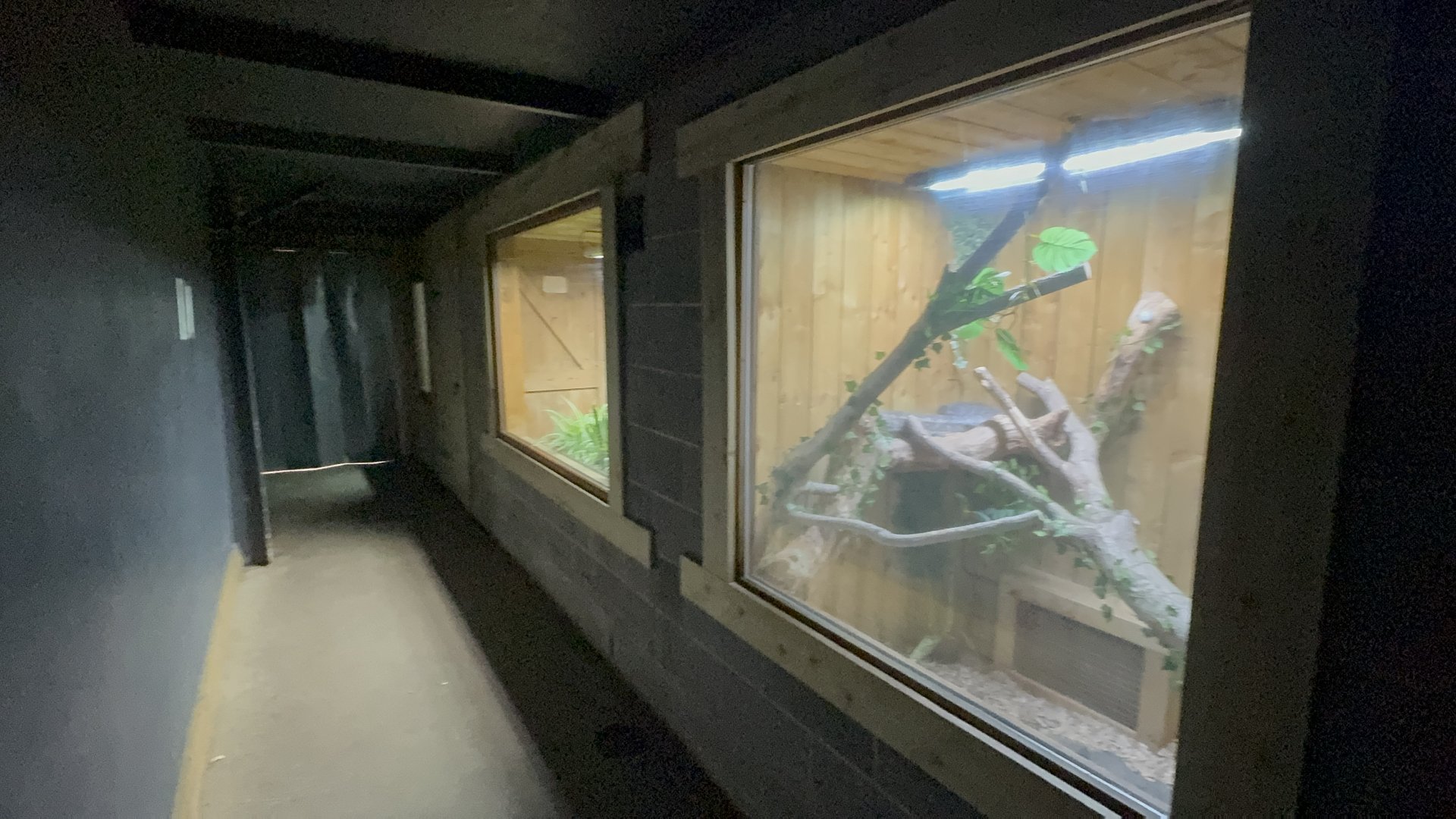 Reptile Enclosures in the Tropical House at Woodside Wildlife Park (May 2024)