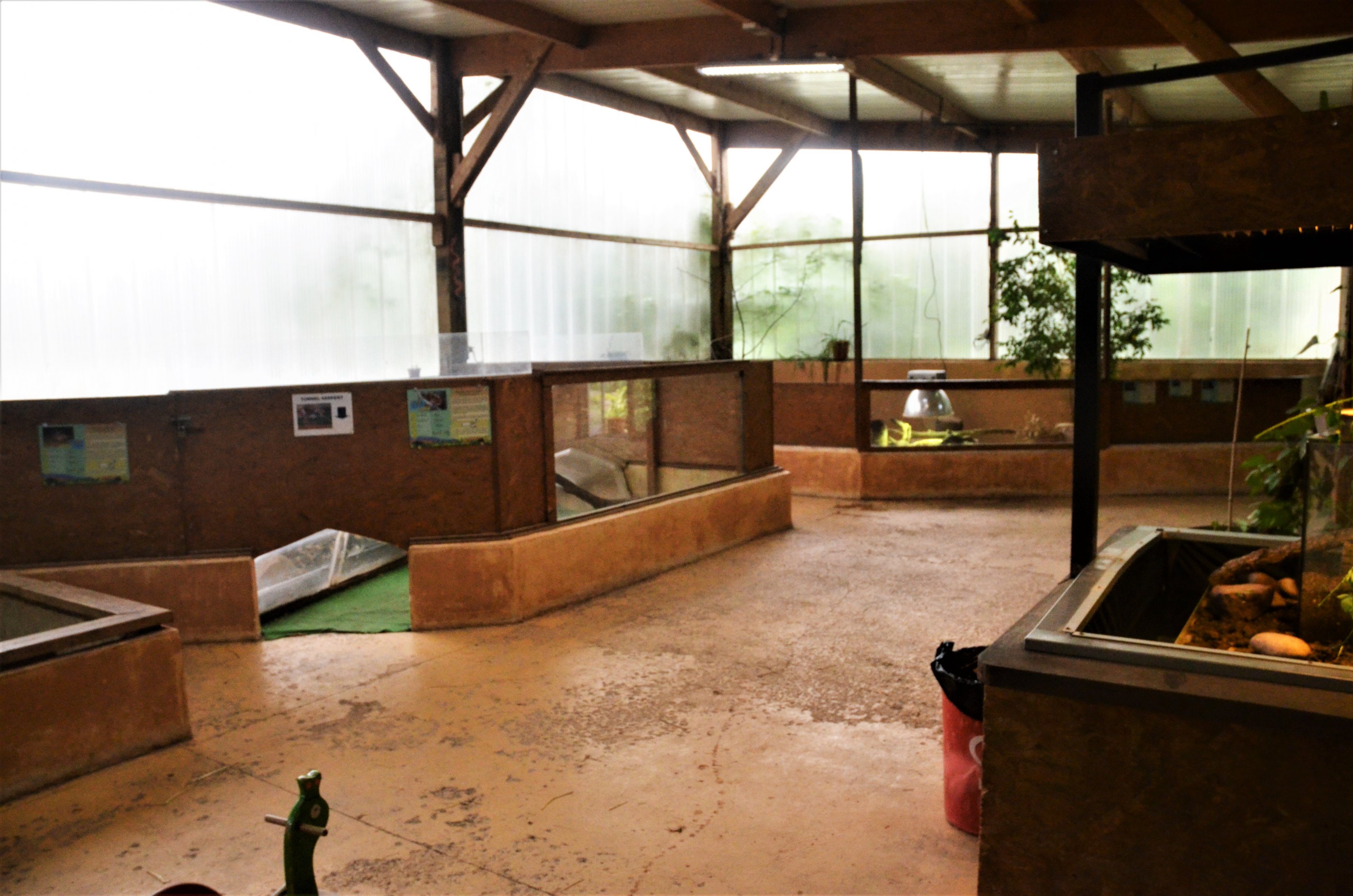 Reptile Enclosures in the Vivarium at Spaycific'Zoo, 13/06/18