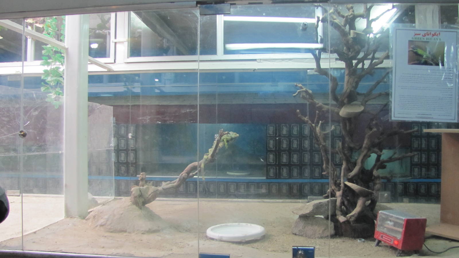 Reptile Enclosures(mashhad zoo)