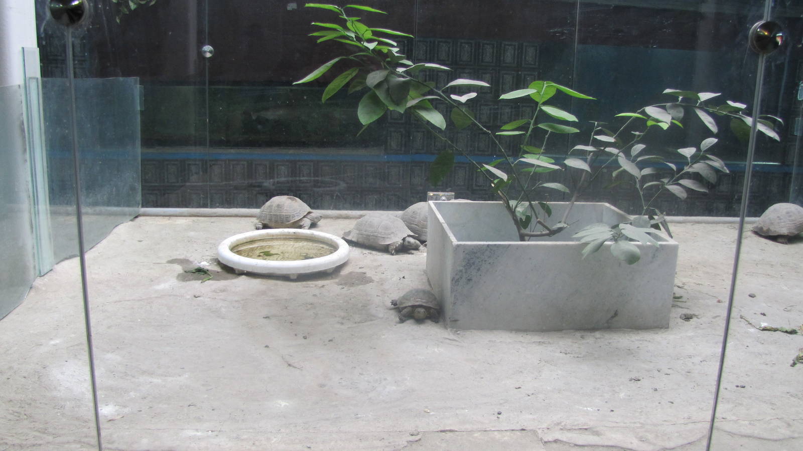 Reptile Enclosures(mashhad zoo)