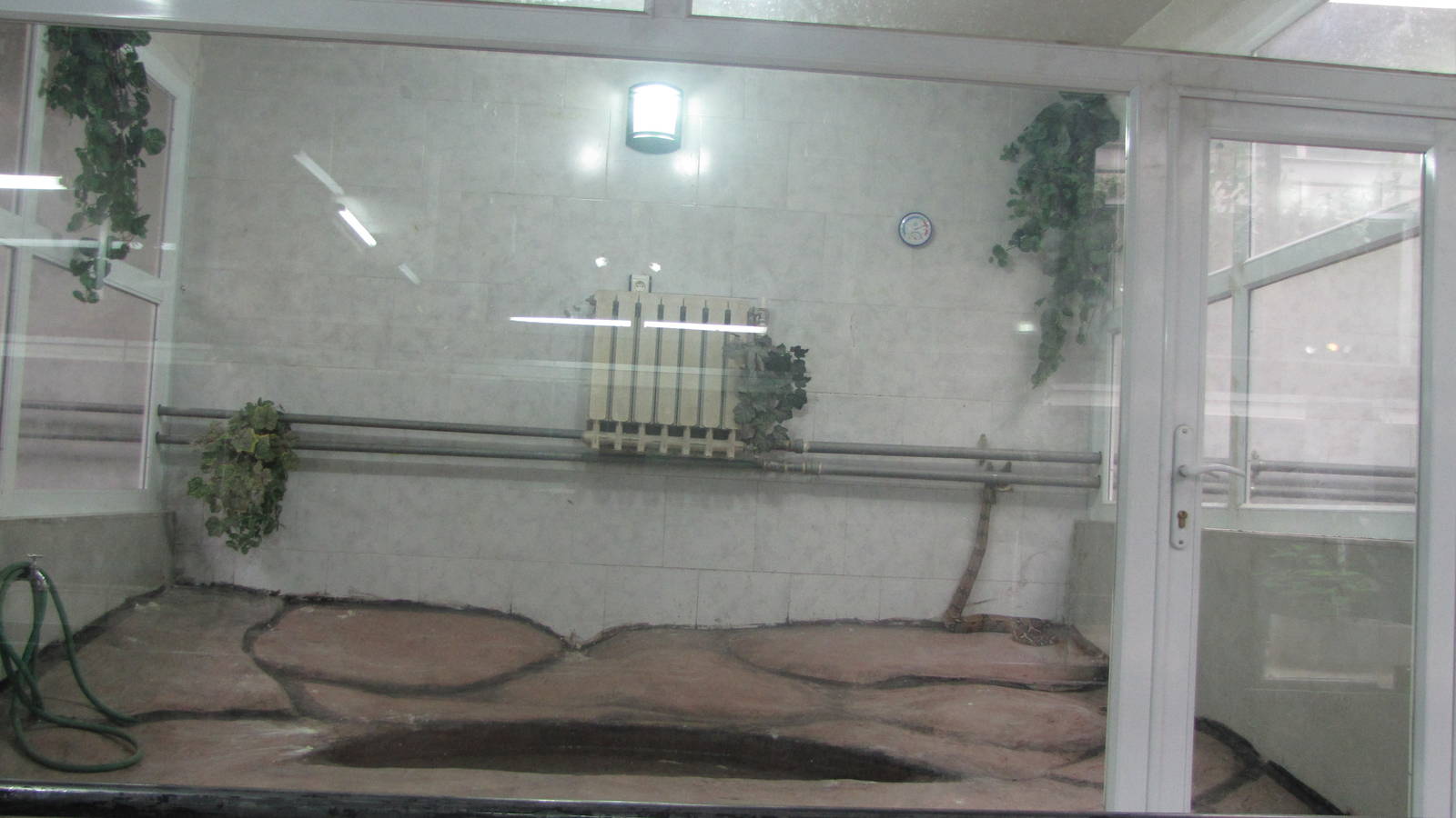 Reptile Enclosures(mashhad zoo)