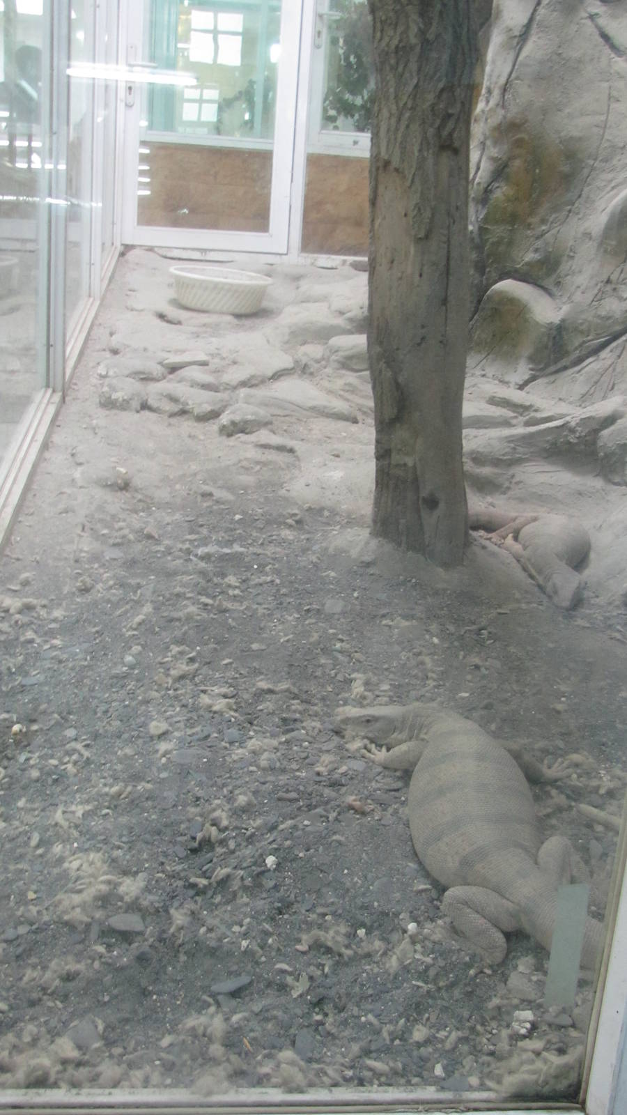 Reptile Enclosures(mashhad zoo)