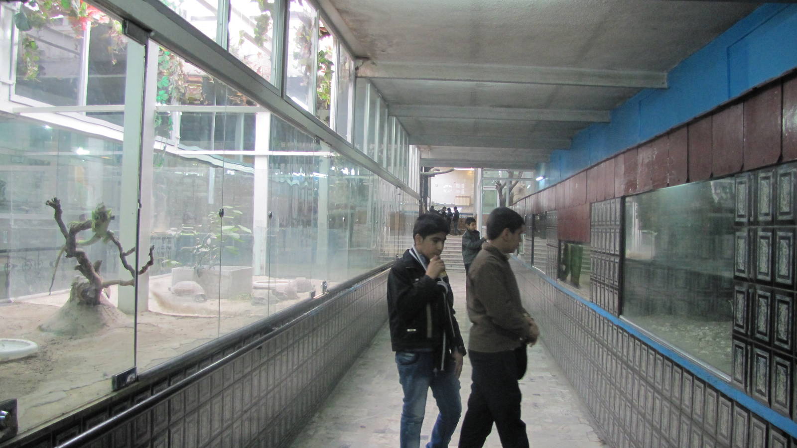 Reptile Enclosures(mashhad zoo)