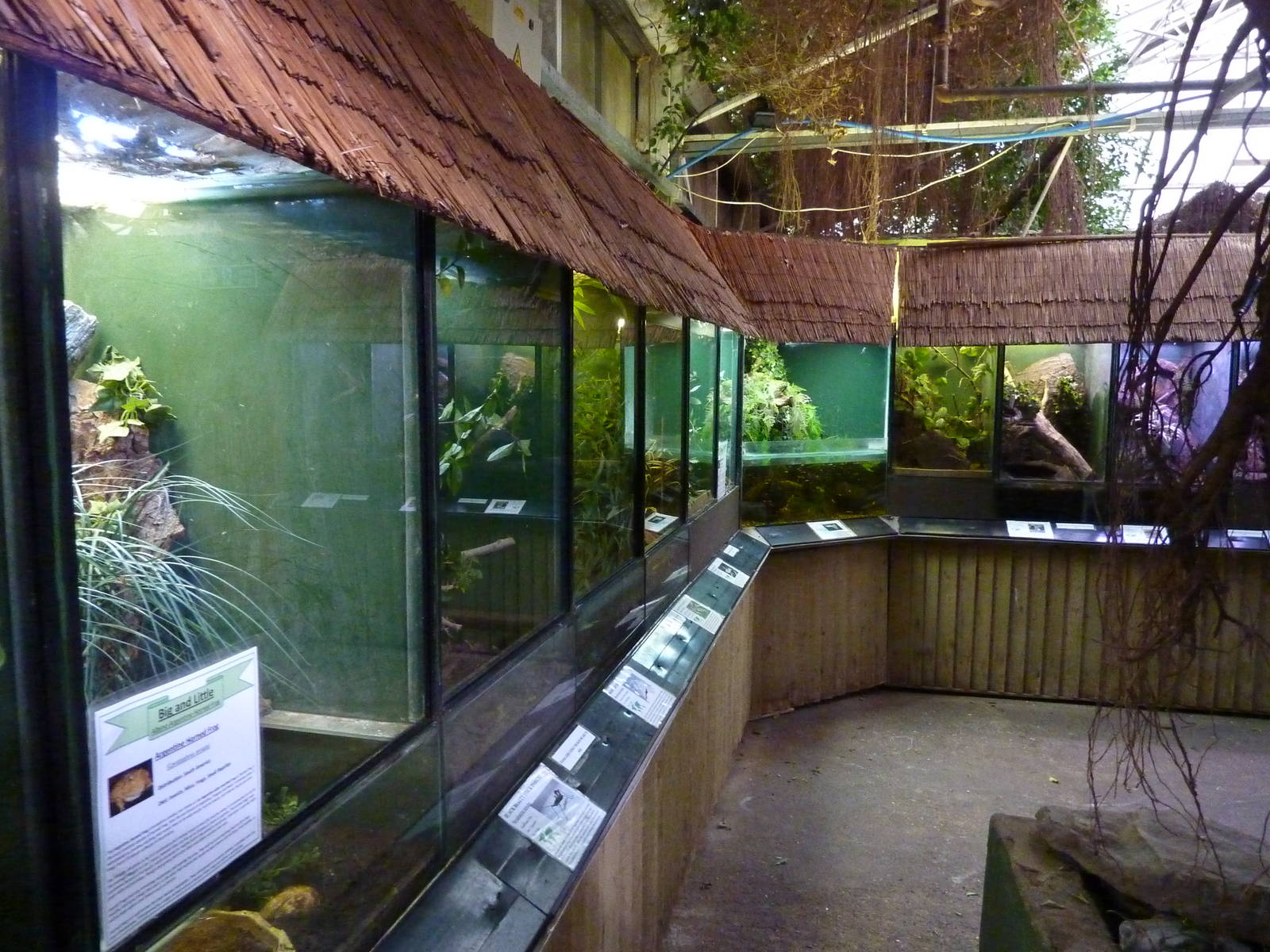 Reptile enclosures