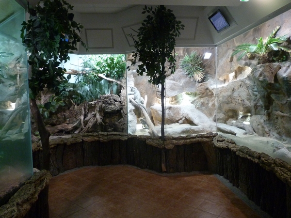 Reptile enclosures