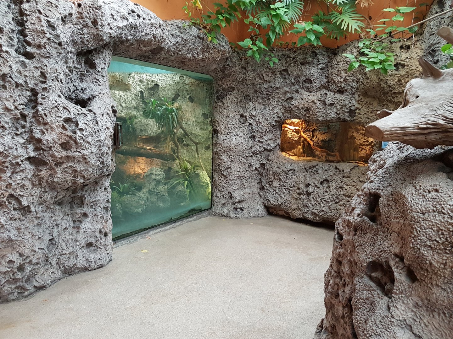 Reptile-enclosures