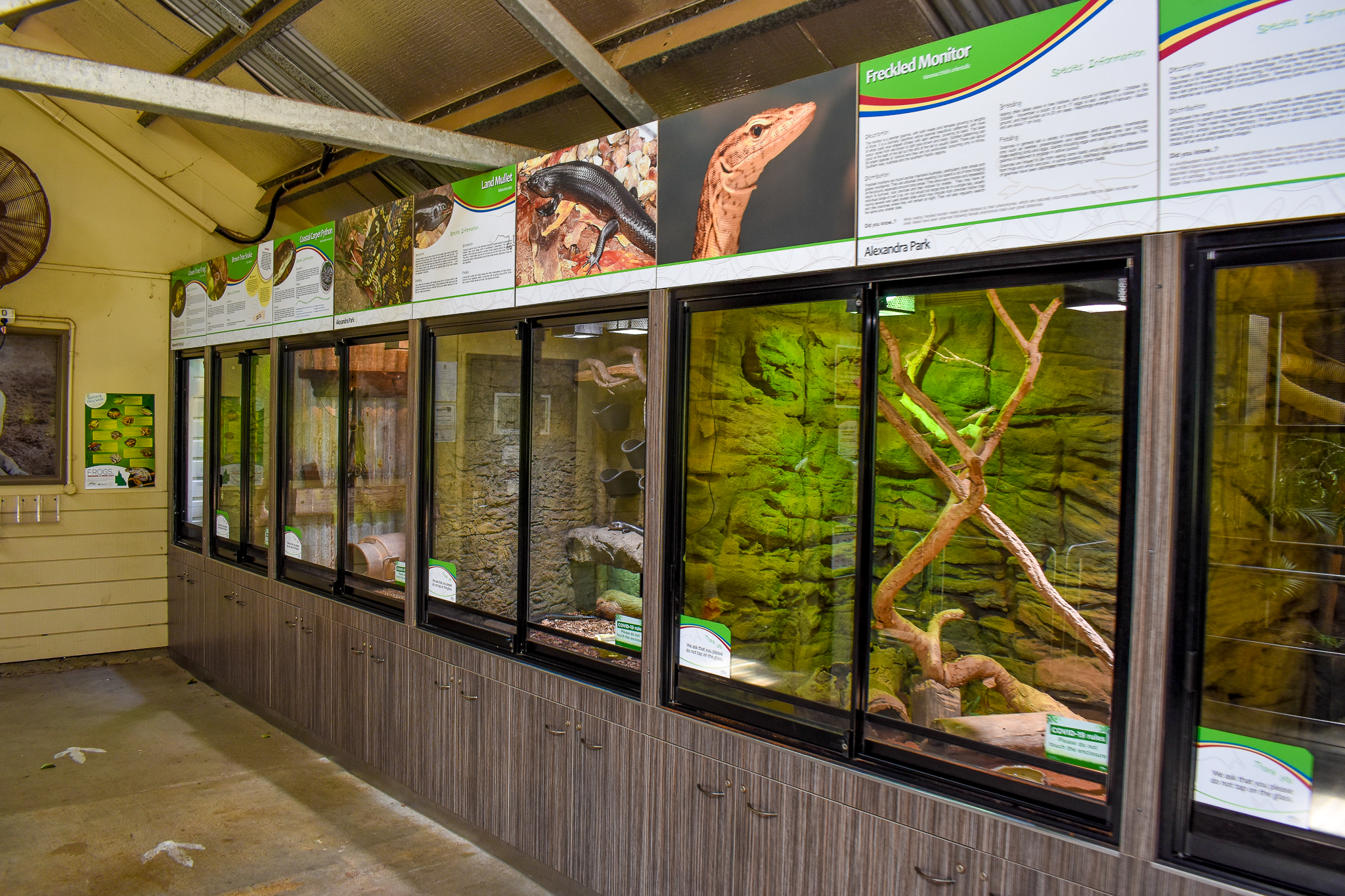 Reptile Enclosures