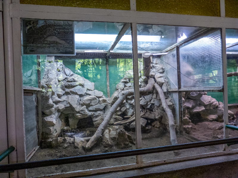 reptile enclosures