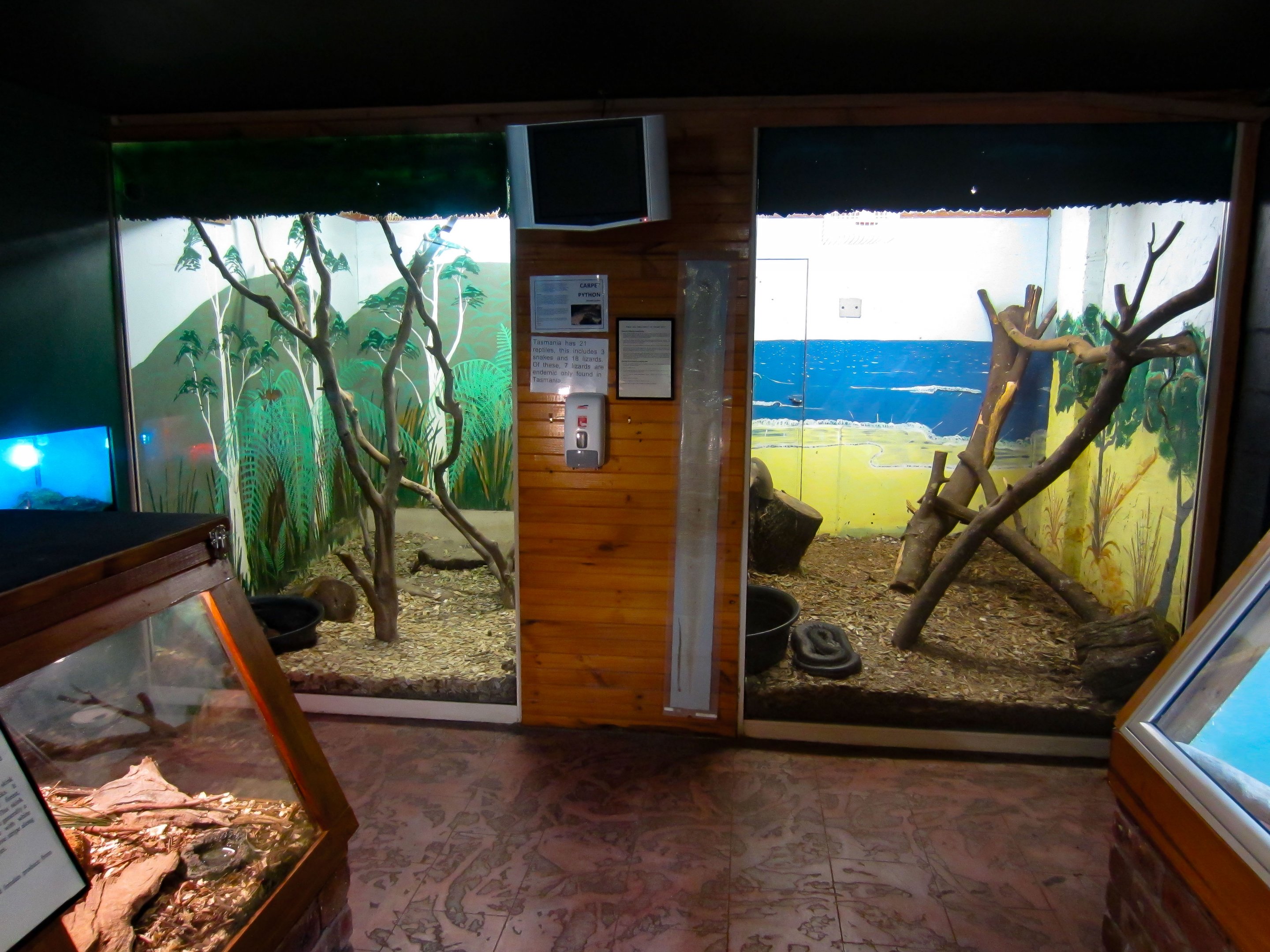 Reptile enclosures