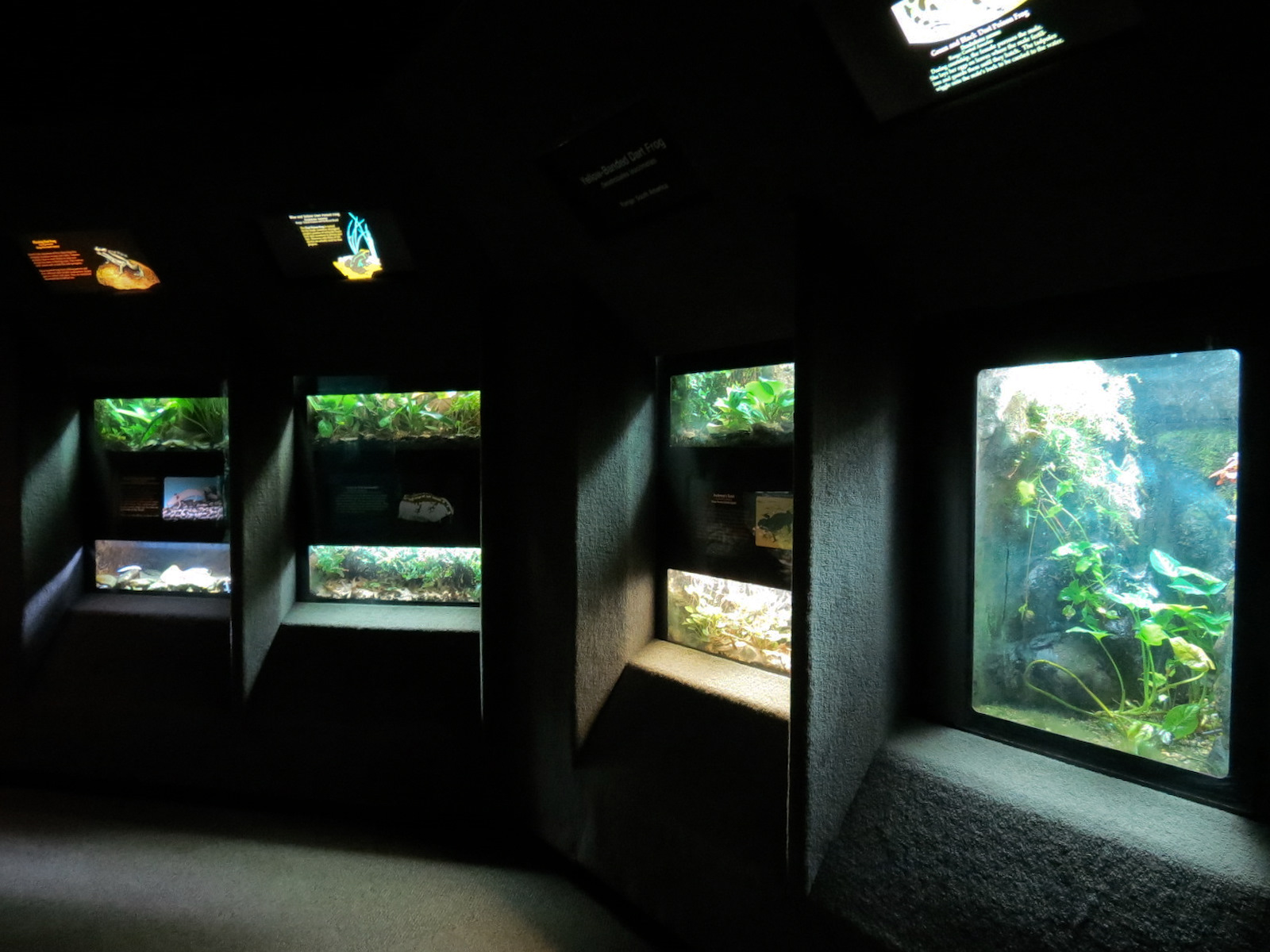 Reptile Encounter - Interior Exhibits