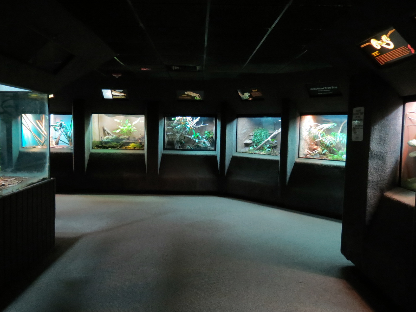 Reptile Encounter - Interior Exhibits