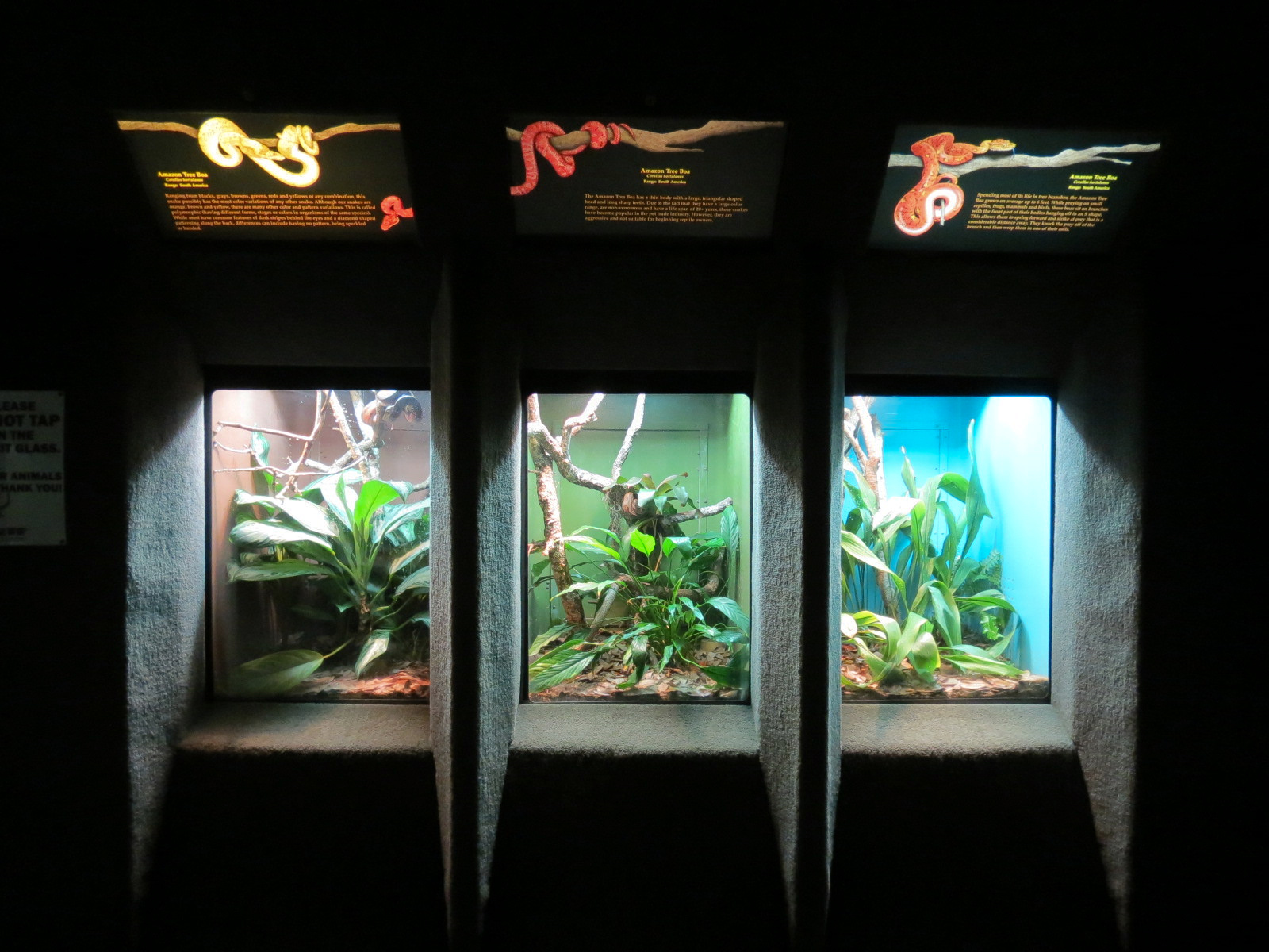 Reptile Encounter - Interior Exhibits