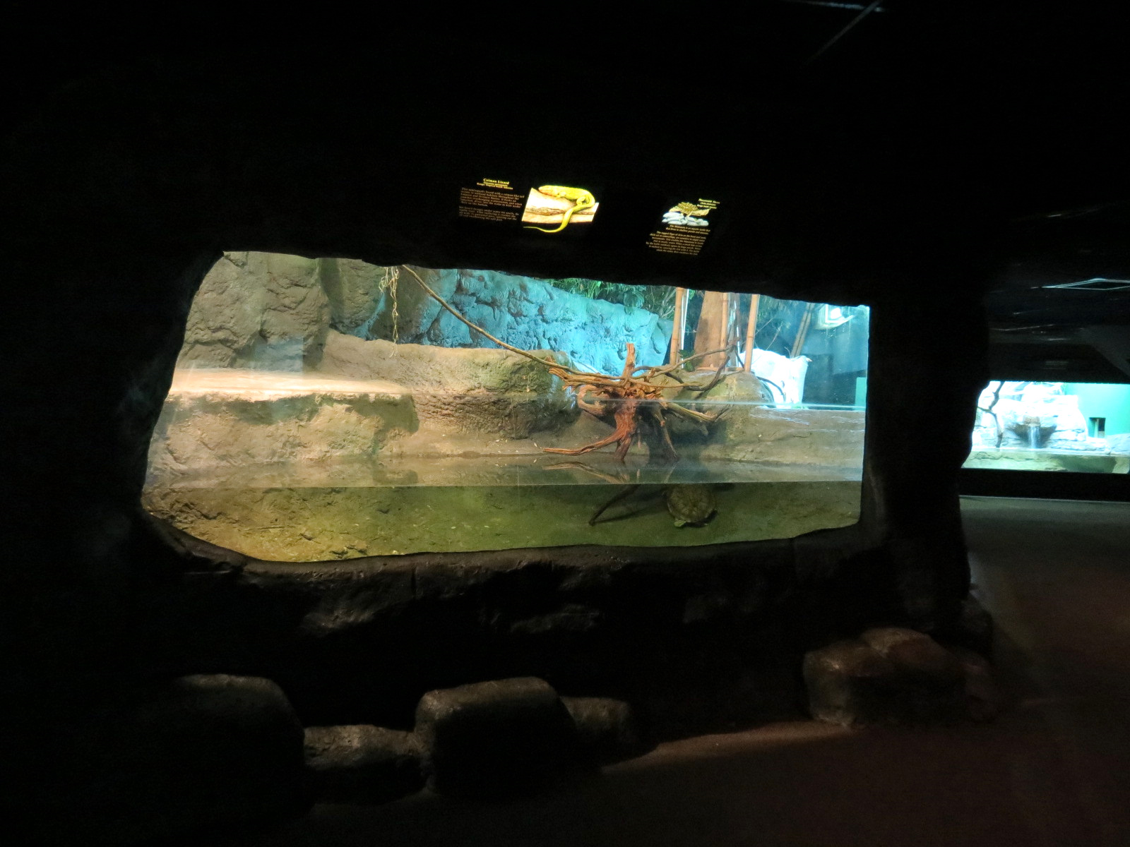 Reptile Encounter - Interior Exhibits