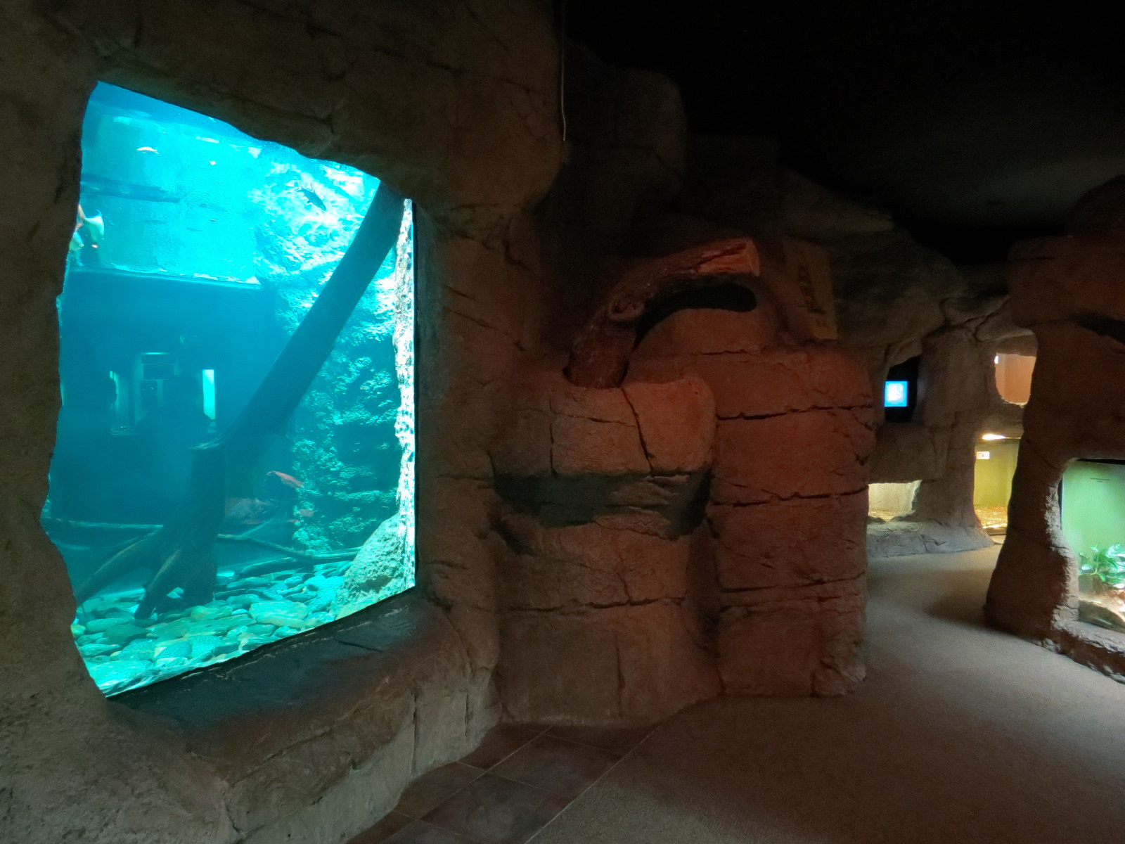 Reptile Encounter - Interior Exhibits