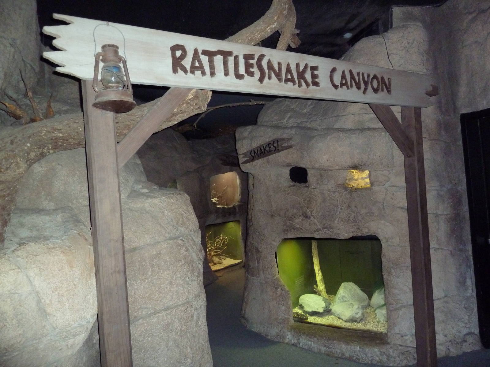 Reptile Encounter - Rattlesnake Canyon