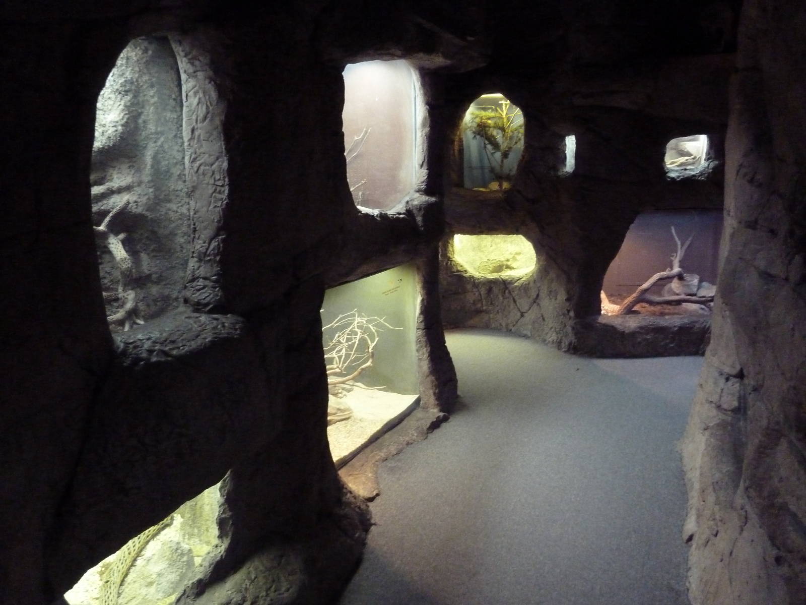 Reptile Encounter - Rattlesnake Canyon