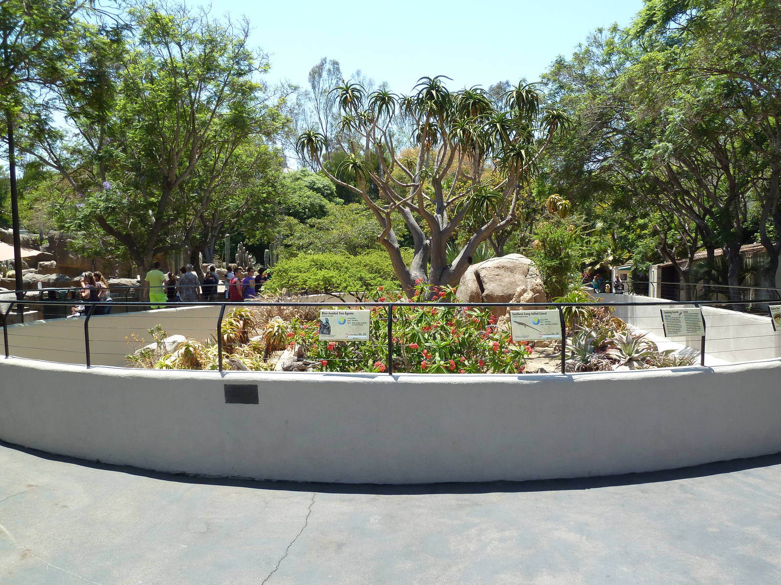 Reptile Exhibit (7 Species)